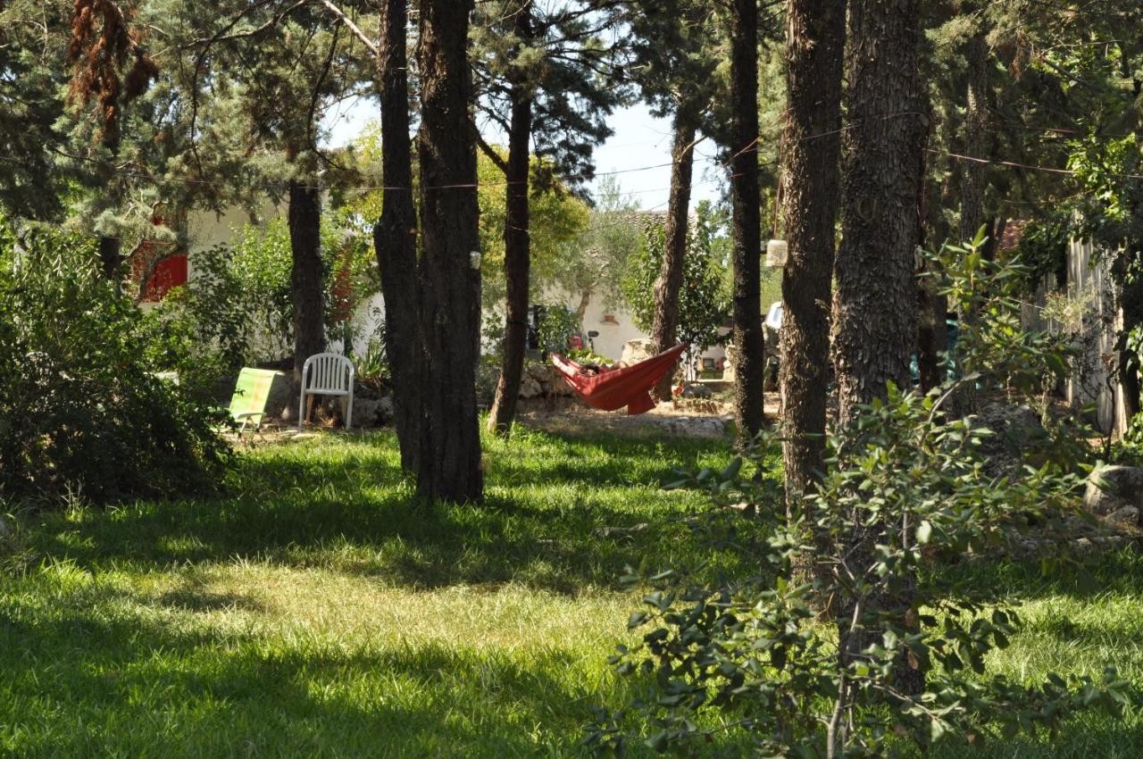 Villa Parco Alta Murgia カッサーノ・デッレ・ムルジェ エクステリア 写真