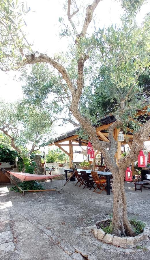 Villa Parco Alta Murgia カッサーノ・デッレ・ムルジェ エクステリア 写真
