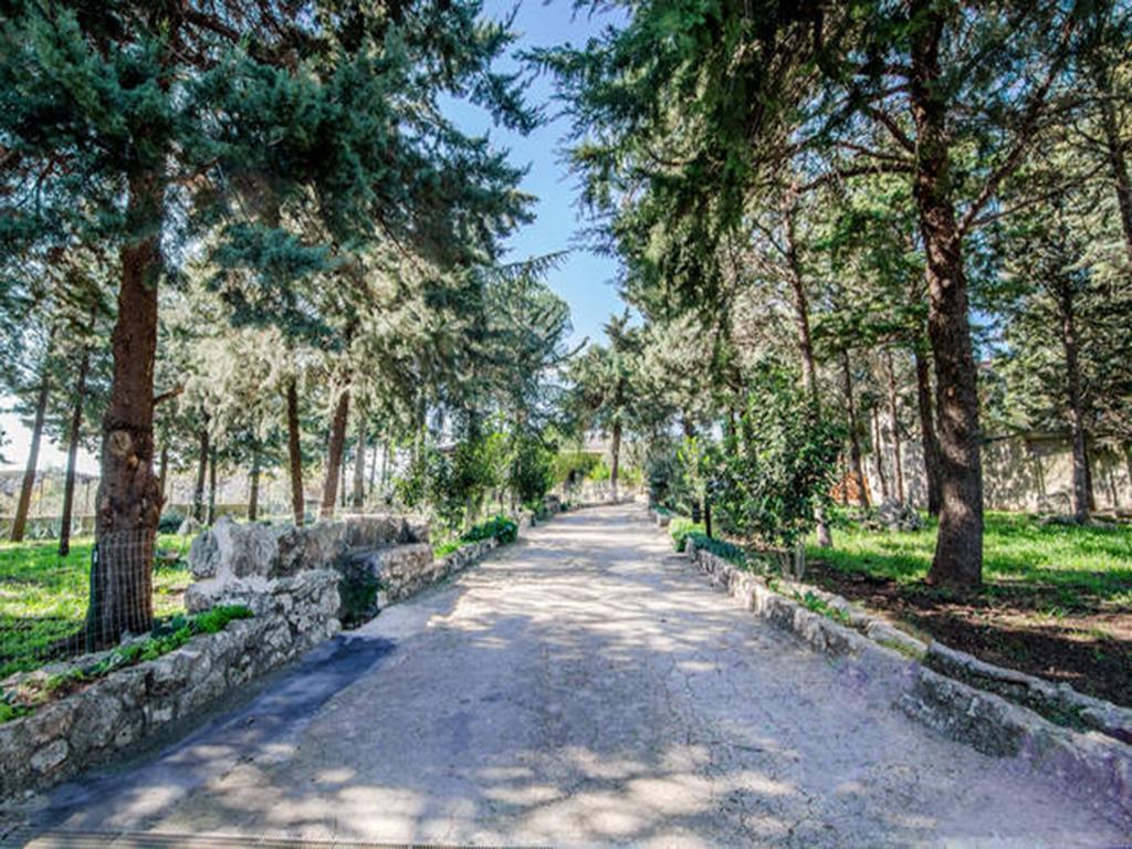 Villa Parco Alta Murgia カッサーノ・デッレ・ムルジェ 部屋 写真