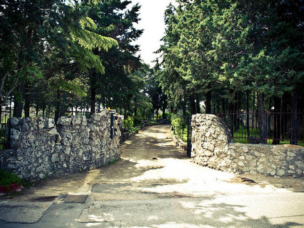 Villa Parco Alta Murgia カッサーノ・デッレ・ムルジェ 部屋 写真