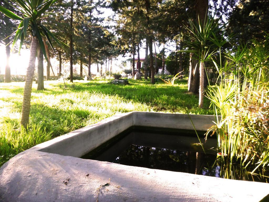 Villa Parco Alta Murgia カッサーノ・デッレ・ムルジェ エクステリア 写真