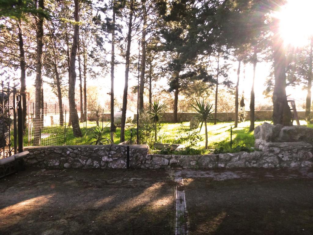 Villa Parco Alta Murgia カッサーノ・デッレ・ムルジェ エクステリア 写真